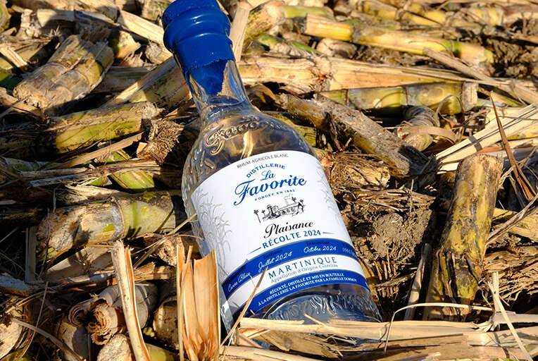Étagère Murale Bois Et Métal - Rhum La Favorite Martinique - Fabriquée En France