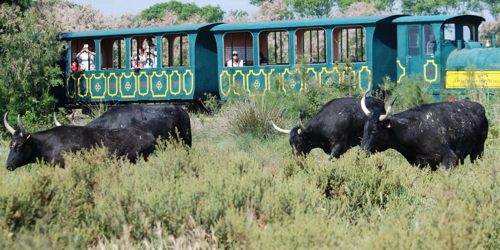 Petit train de Mjanes (Arles) | Provence-Alpes-Cte d'Azur Tourism