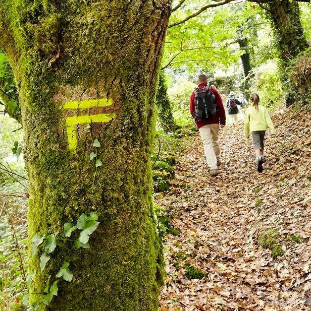 Rando Du Pays Pourlet - Ploërdut | Site Officiel De L’office De ...