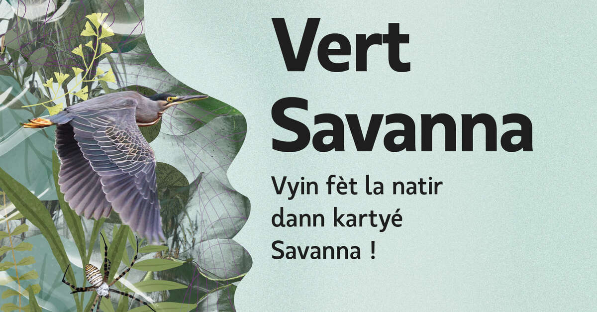 Vert Savanna (SaintPaul) Île de la Réunion Tourisme