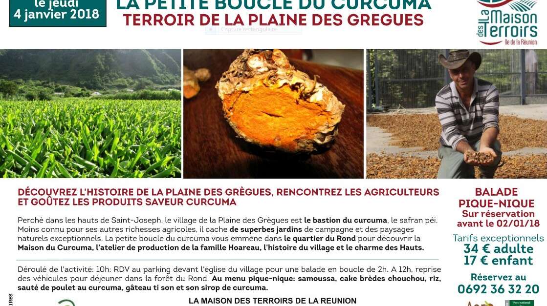 La Petite Boucle Du Curcuma Petite Ile Ile De La Reunion Tourisme