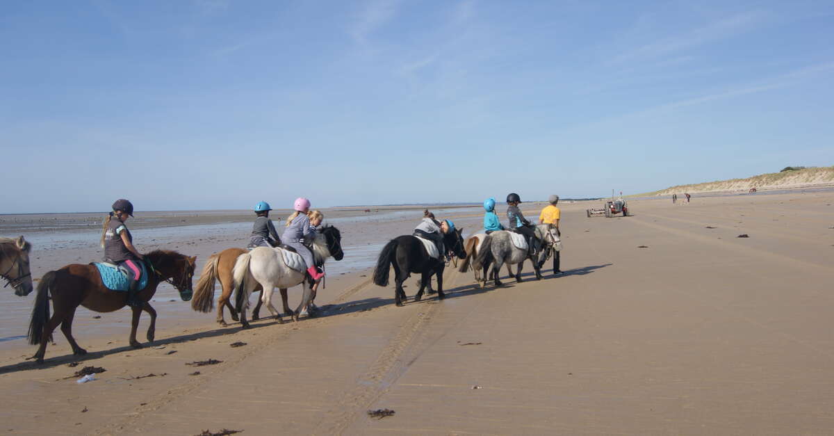 Poney-Club des Oyats - Bréhal | Destination Granville Terre et Mer