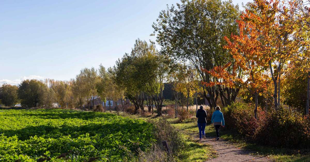 Le Chemin Des Trous Et Des Bosses (Cantin) | Douaisis Tourisme