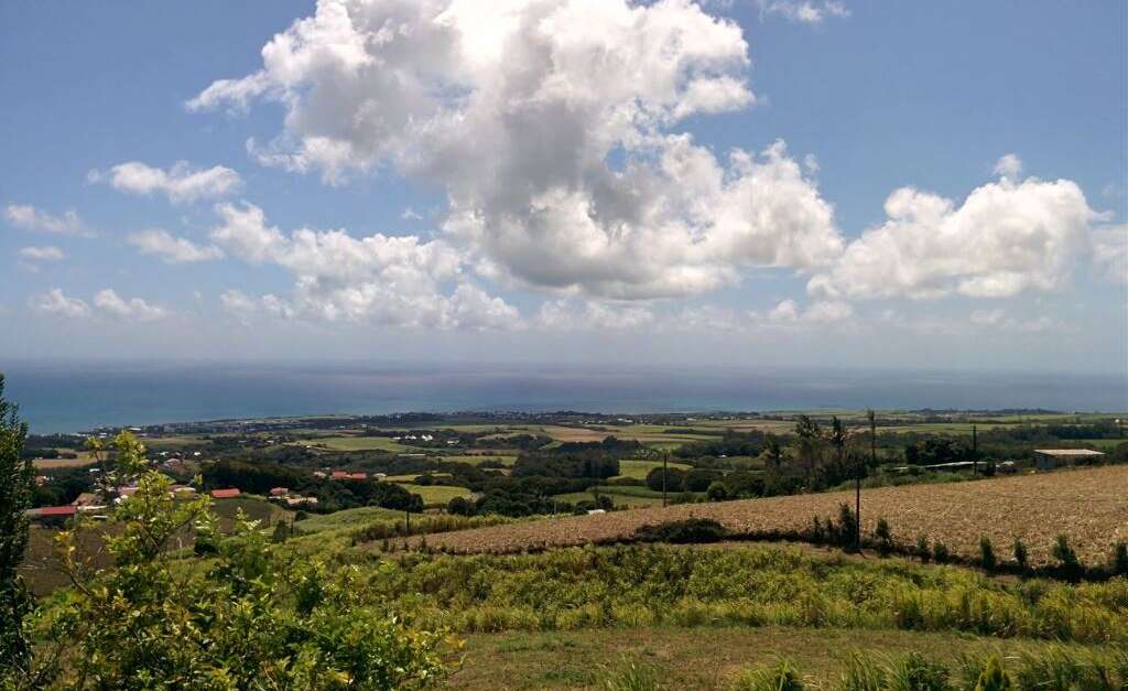 Un pas vers nos agriculteurs (SainteMarie) Île de la Réunion Tourisme