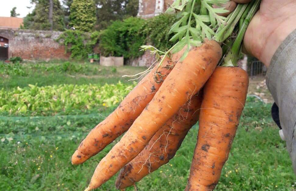 Épicerie SaintCasimir Vaudricourt Office de Tourisme de BethuneBruay