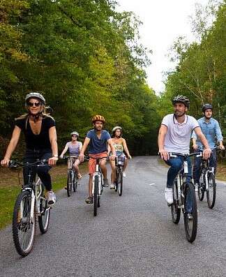 Anyone 4種類 + Fontaine Cycling Anyone 4種類 + Fontaine Cycling Hybrid Comfort Bike Rental