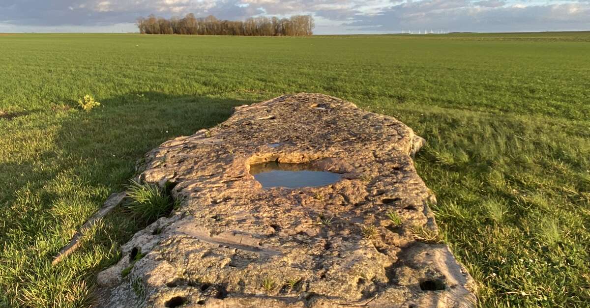 Pépites et secrets en Terres de Chartres Autour de La Bourdinière