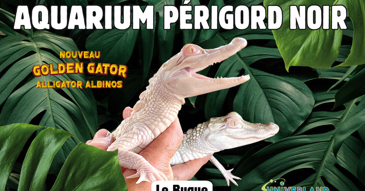 Aquarium du Périgord Noir Le Bugue Pais de Gourdon Turismo