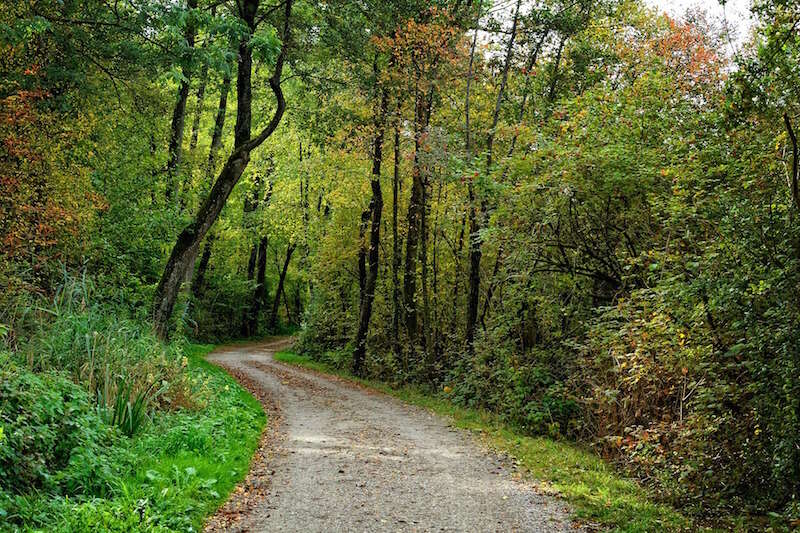 Amis De La Nature Chalons En Champagne