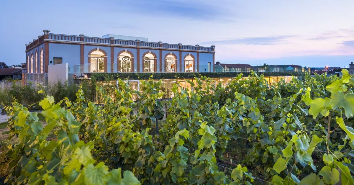 Pressoria Voyage Sensoriel Au Coeur Du Champagne