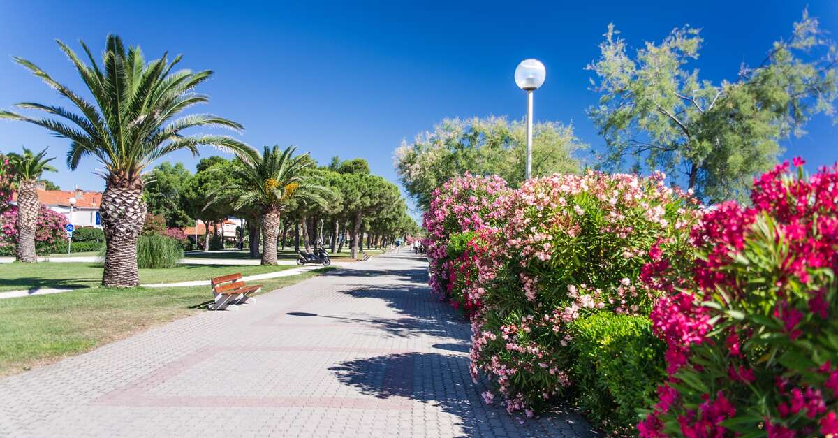 PROMENADE DU BORD DE MER (ArgelèssurMer) Office de Tourisme ArgelessurMer