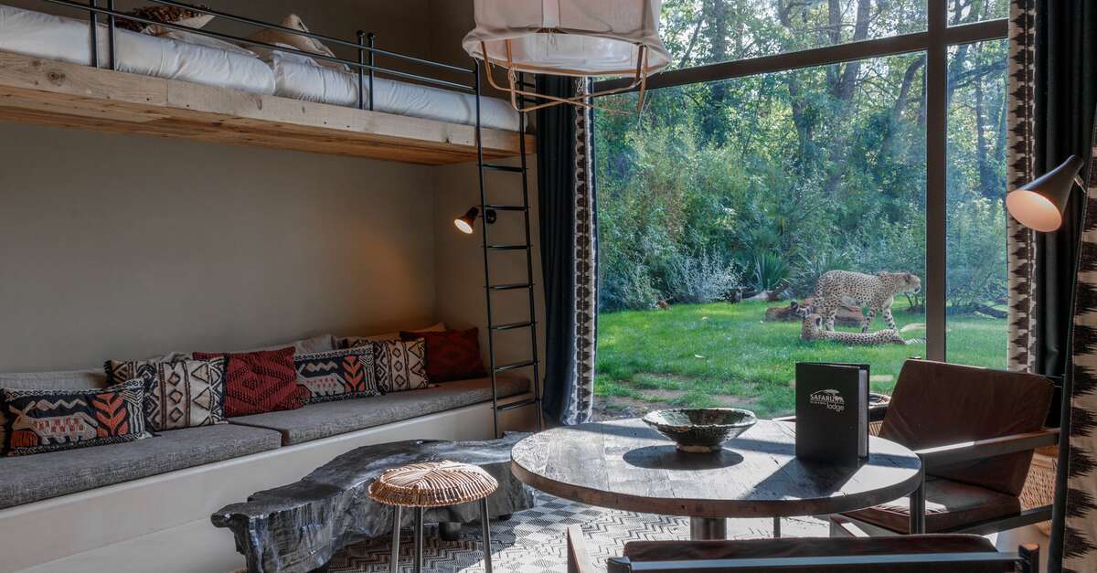 SAFARI LODGE - ZOO DE LA FLÈCHE (La Flèche) | Vallée du ...