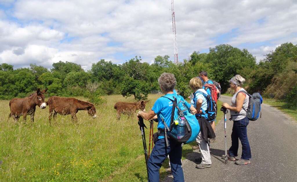 Randonn Es P Destres Vtt Montaigu De Quercy Official Website Of Tourism In Tarn Et Garonne