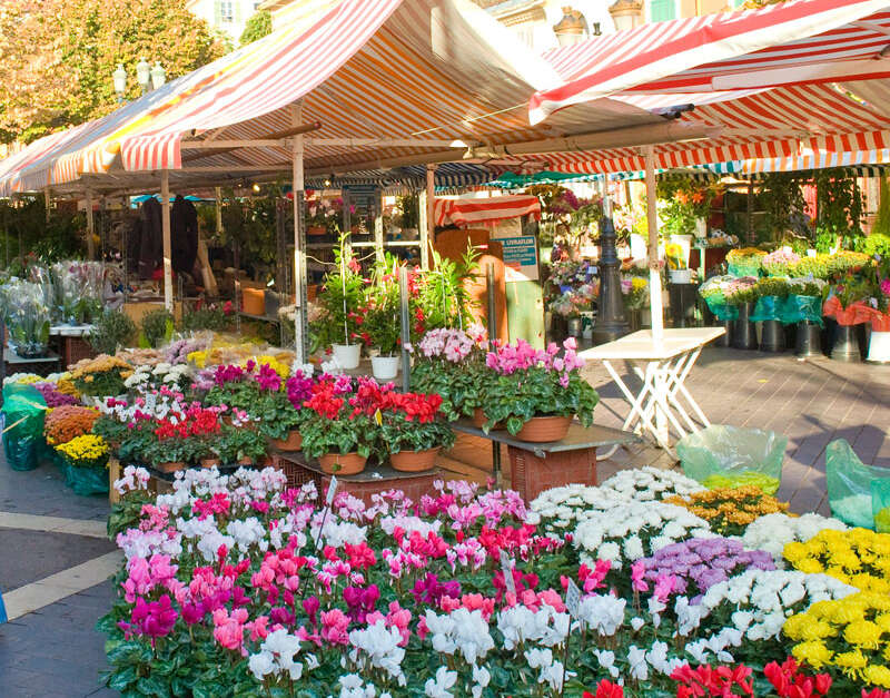 Marché aux Fleurs Cours Saleya (Nice) | Destination Côte d’Azur France