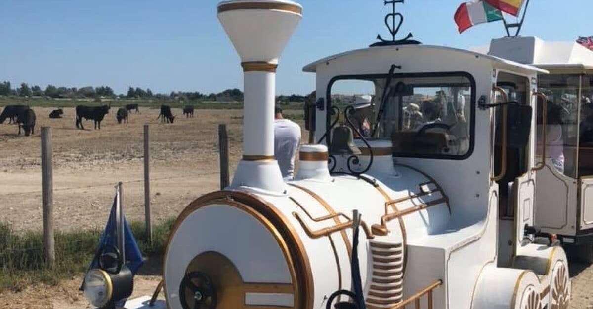 Le Petit Train Camarguais (SaintesMariesdelaMer) ProvenceAlpesCôte d'Azur Tourisme