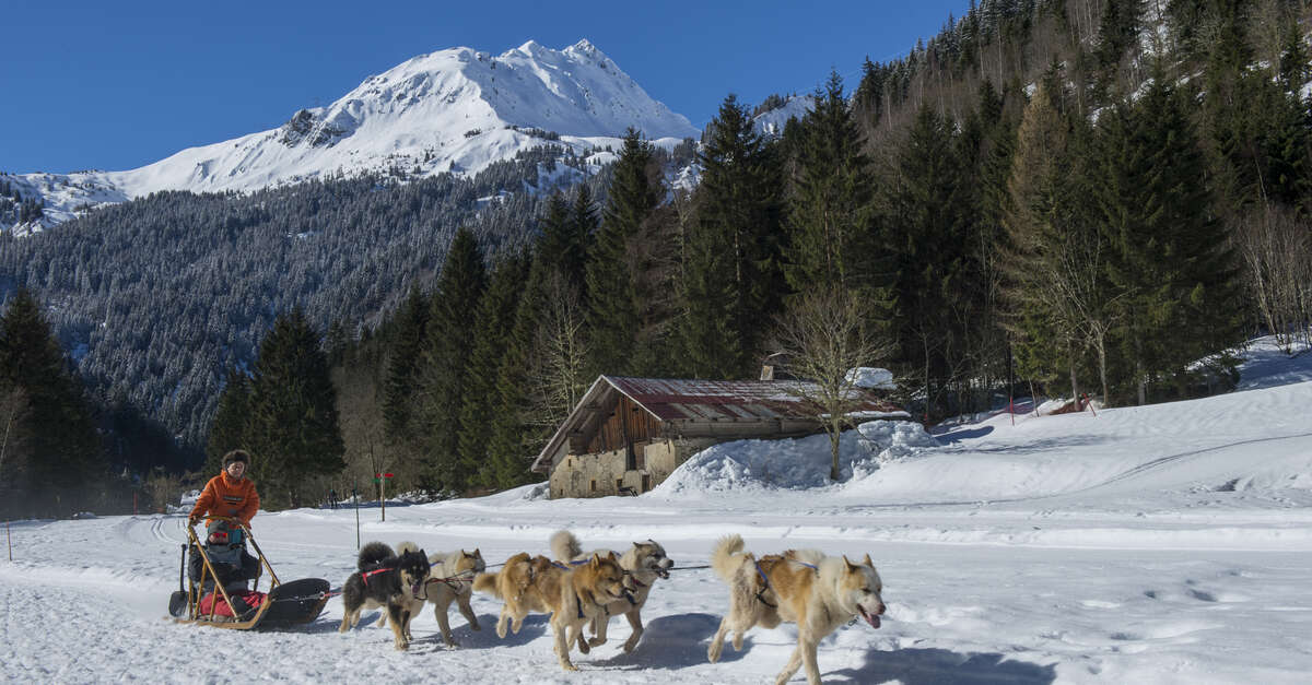 Parc du Chien Polaire Les ContaminesMontjoie Les Contamines