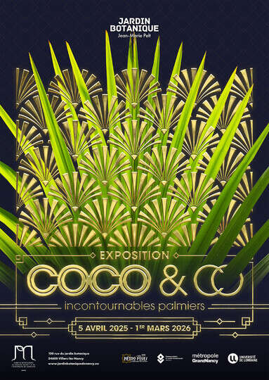COCO.ページ Exposition – Coco and Co (Villers-lès-Nancy) | Nancy Tourisme