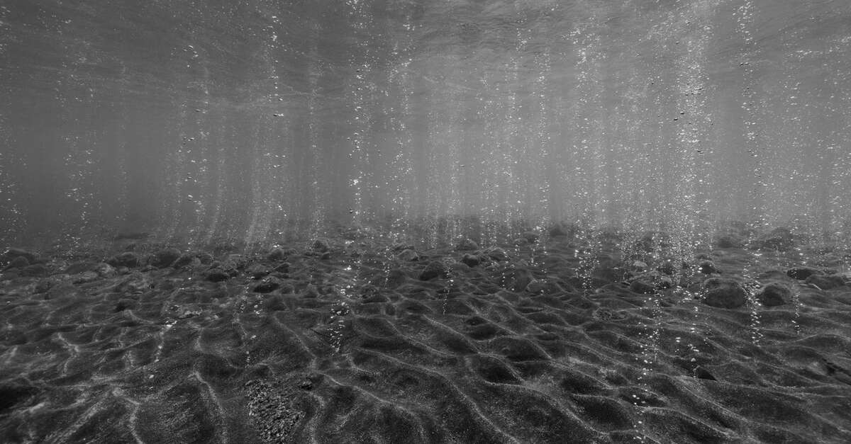 Exposition : Hydroscape