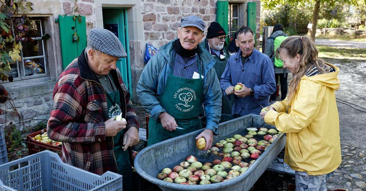 Au nom de la pomme