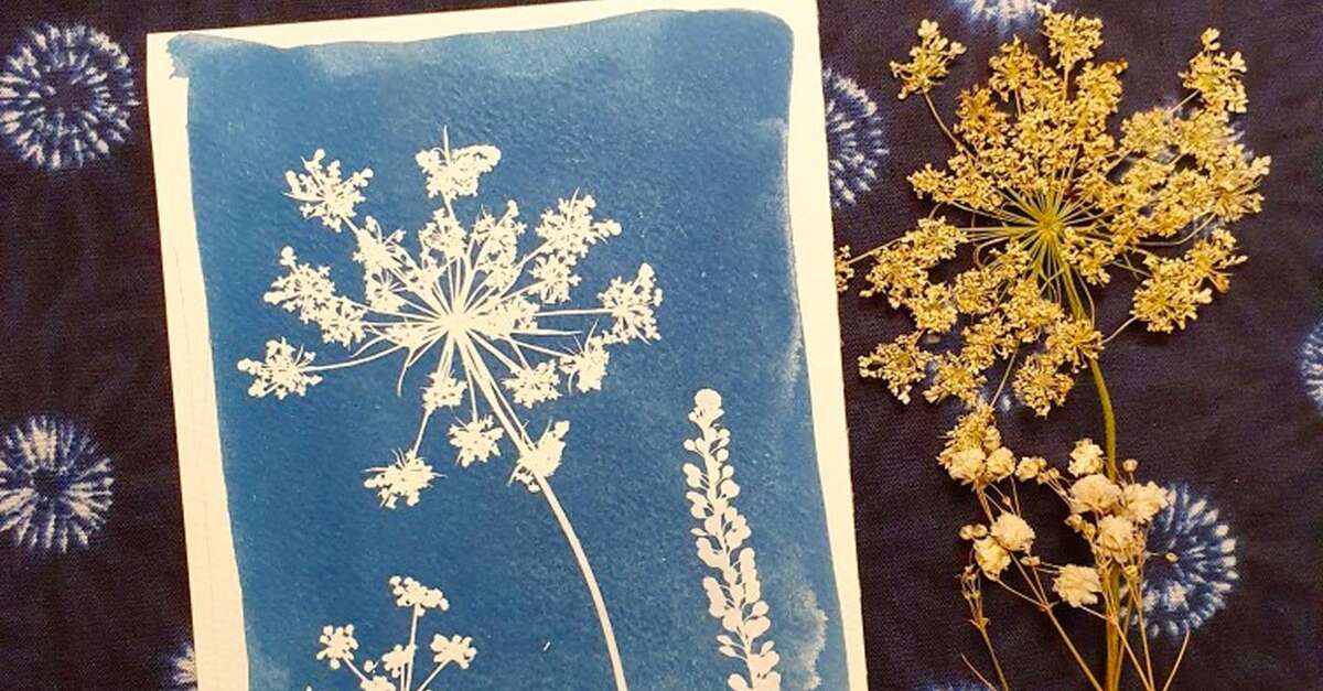 Atelier : cyanotype