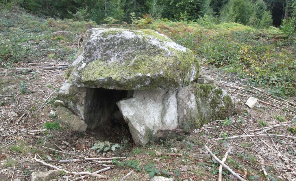 Dolmen du Four des Fades de Mourioux (Mouriouxvieilleville) Tourisme