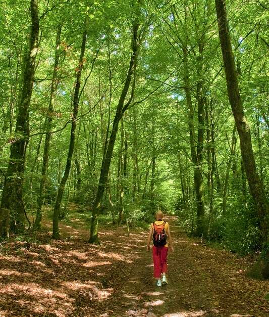 Le circuit des légendes (SaintGermainenCoglès) IlleetVilaine