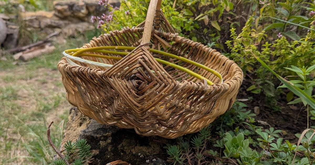 Stage de vannerie sauvage de jardin à Boursay (Boursay) | Office de ...