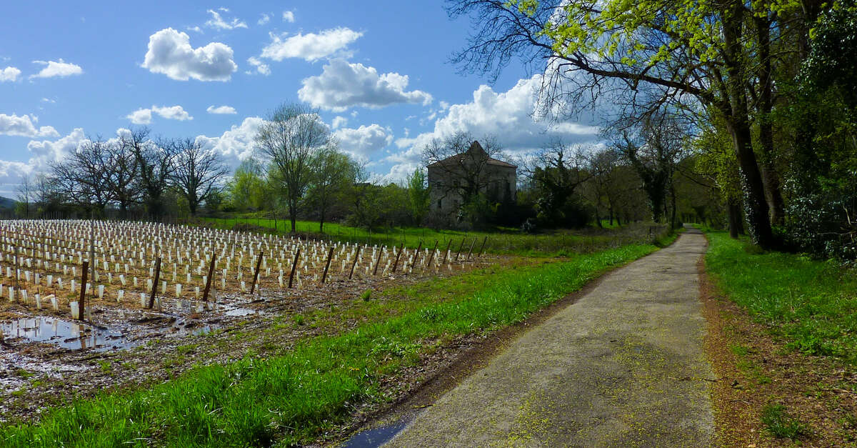 Balade sur les Berges du Lot (Pradines) Tourisme Lot