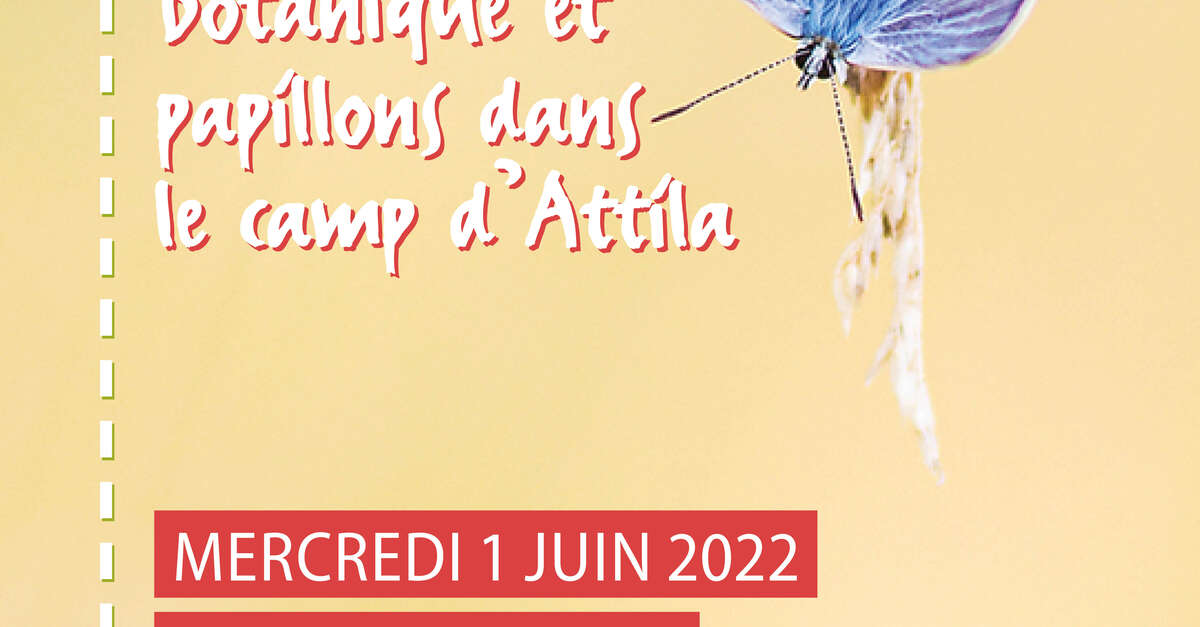 Botanique et papillons au coeur du camp d’Attila (La Cheppe) Châlons