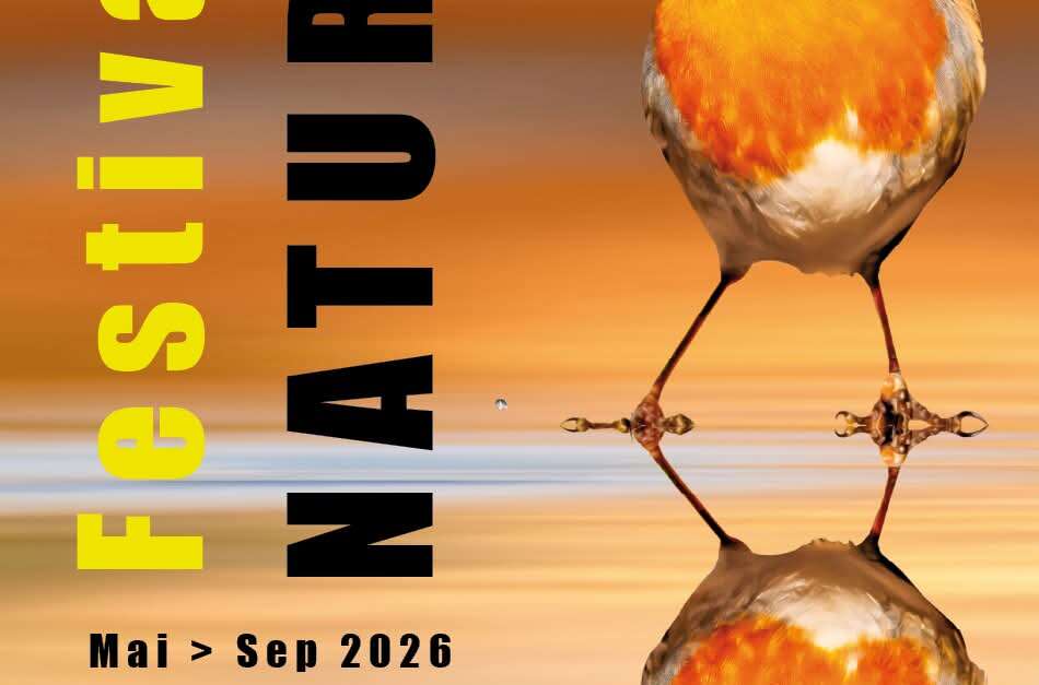 APÉRITIF SCIENTIFIQUE LES SYRPHES, INDICATEURS DE BIODIVERSITÉ ET DE — free download