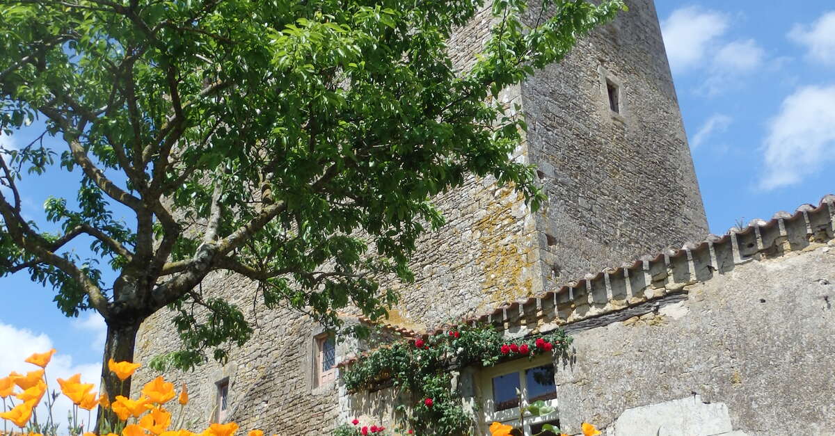 Donjon de Bazoges en Pareds