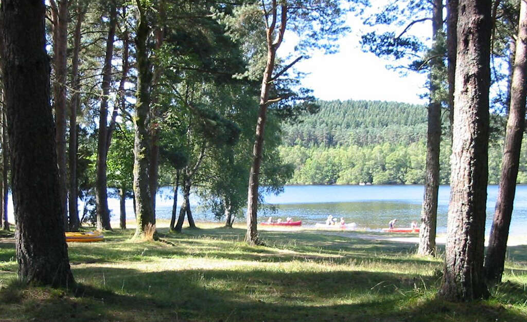 Aire naturelle de camping de Pelletonges — photo 2