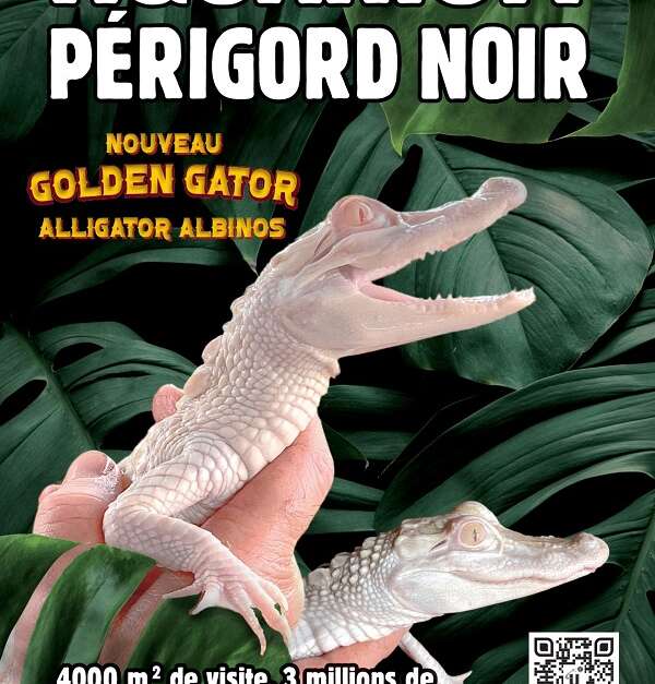 Aquarium du Périgord Noir Univerland Le Bugue (Le Bugue) Dordogne