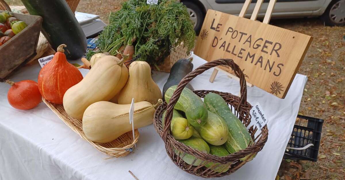 Le potager d’Allemans (Allemans) Dordogne Périgord Tourisme