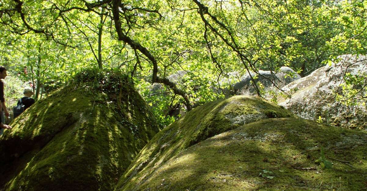 Les Piliers De La Vallée Des Traouïero