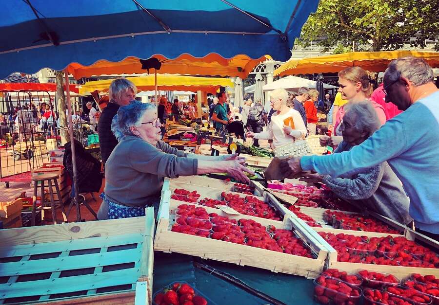 Sortie Marché d'Arcachon