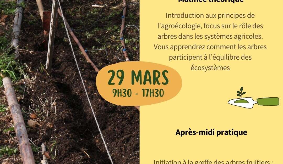 FORMATION POTAGER MOIS PAR MOIS - OASIS CITADINE