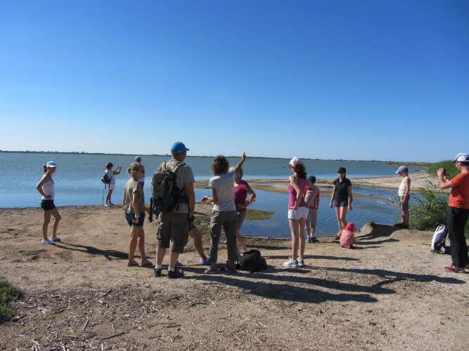 LE SENTIER DU CABANIER – ETANG DE L’OR (Mauguio) | Montpellier Tourism