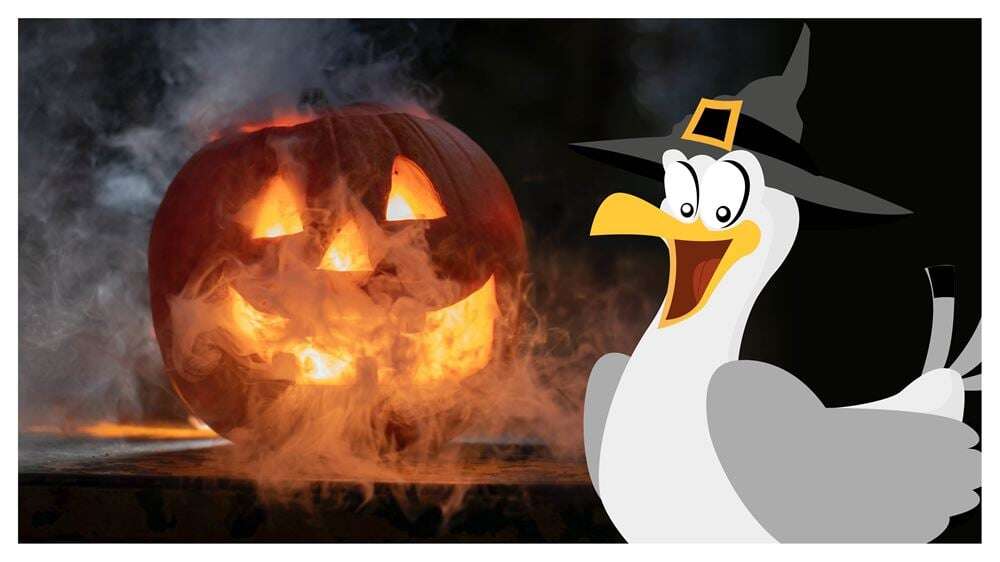 soirée halloween montpellier soirée halloween montpellier