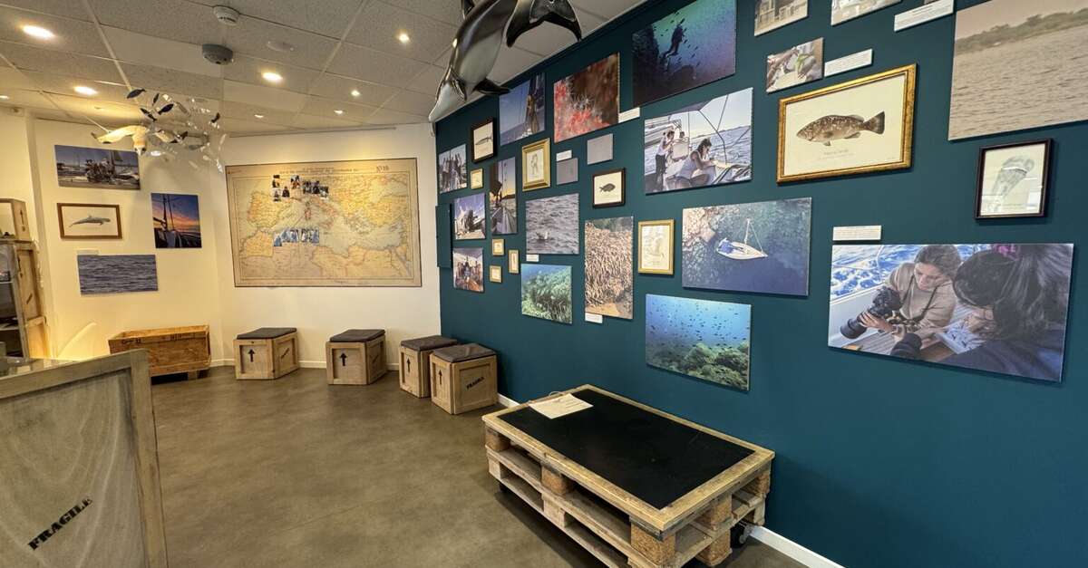 EXPOSITION "AU FIL DE NOS EXPÉDITIONS"