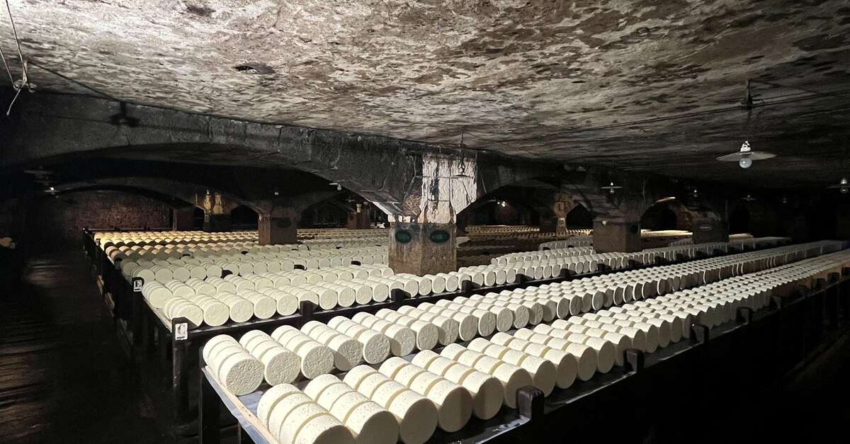 AU CŒUR DU LARZAC : ROQUEFORT, VILLAGE TEMPLIER ET LAC DU SALAGOU AVEC TERRA IMMERS'