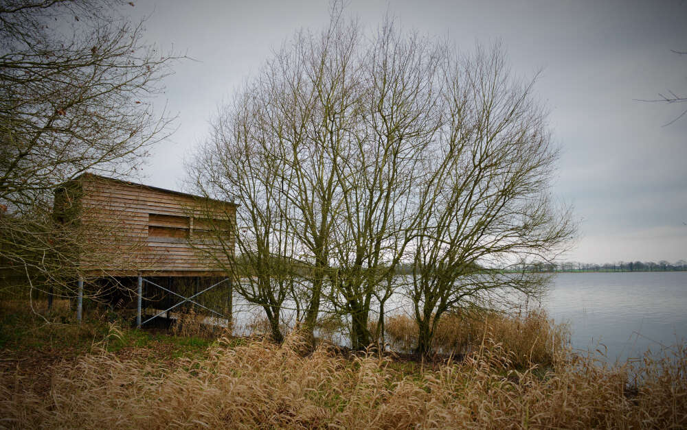 L’étang de ChâtillonenVendelais (ChâtillonenVendelais) Illeet