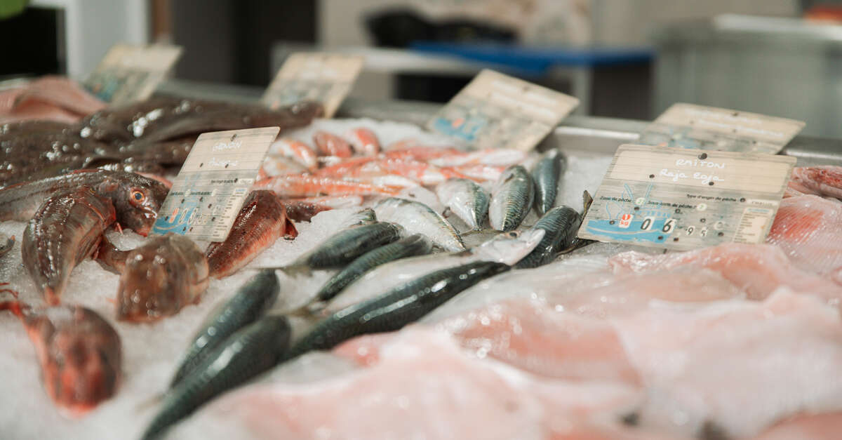 Poissonnerie Hermine Bastien Steeven