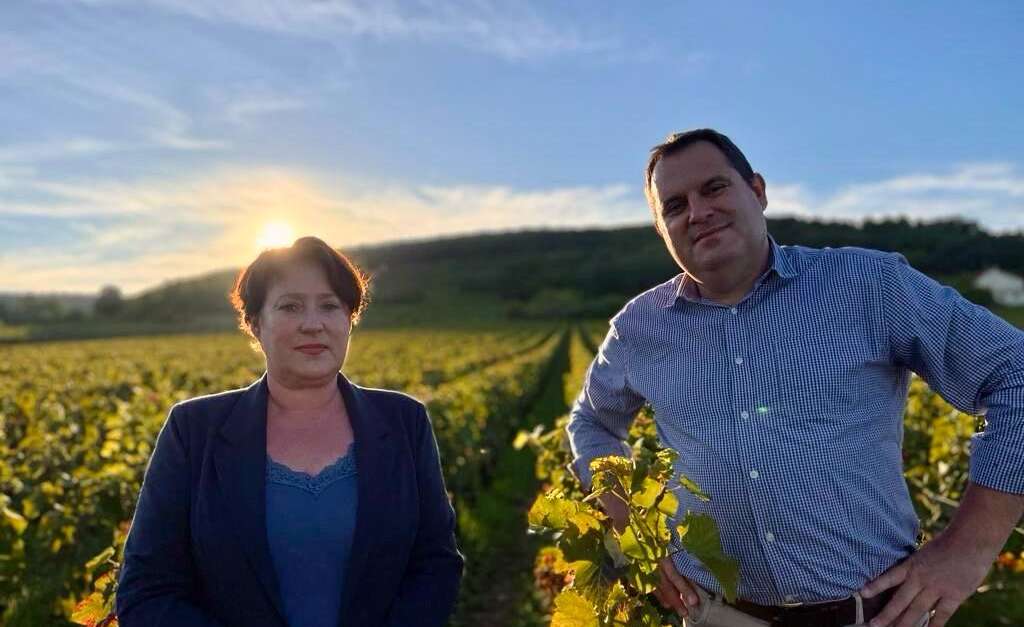 Société Vin et Terroirs marque Wine and tours (ChassagneMontrachet