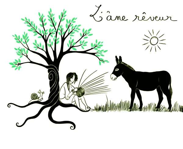 L’Ane Rêveur – Balade avec des ânes (Bozouls) | terres-daveyron