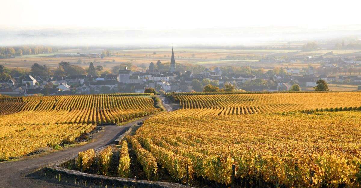 MEURSAULT Meursault Offizielle des Tourismusbüros