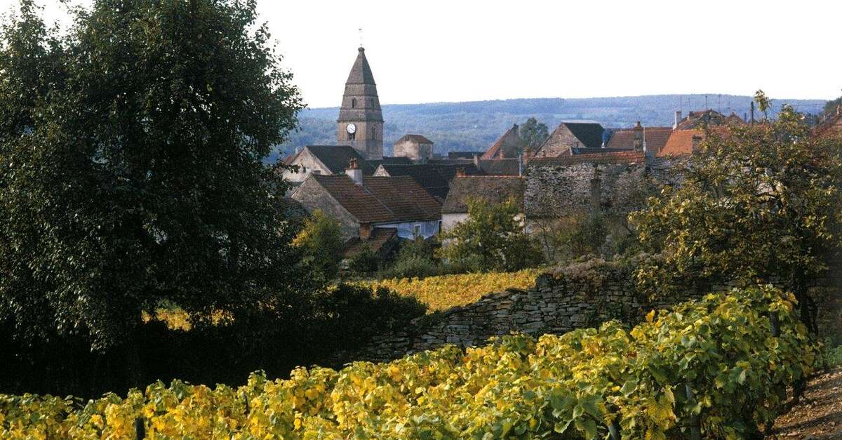 SAINTAUBIN SaintAubin The Official Beaune Travel Guide