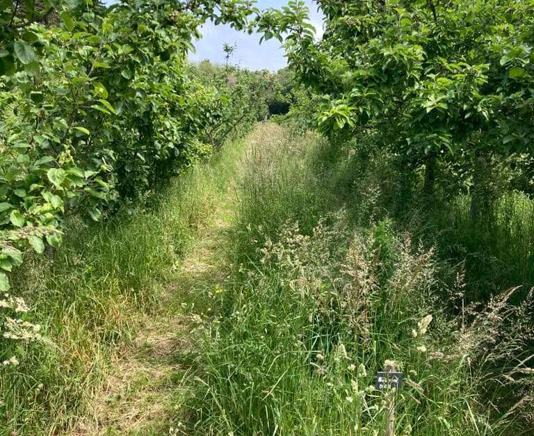 Les rendezvous du Verger Patrimonial L' Îled'Yeu Office de