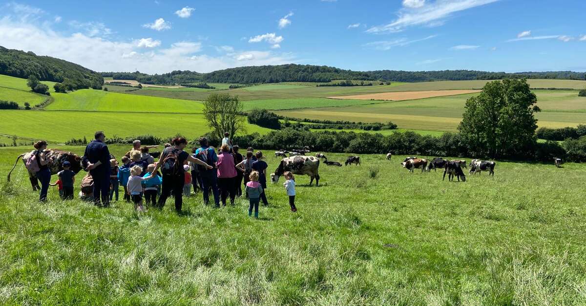 La Ferme du Mont Vert (Alquines) Office de Tourisme du Pays de SaintOmer