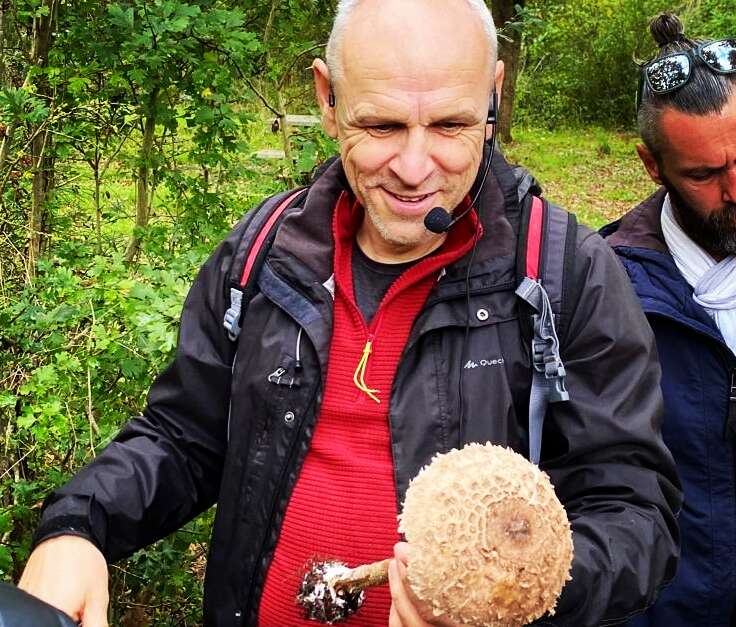 Atelier : Cueillette de champignons